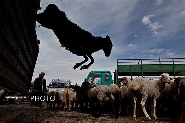 کشف ماینرهای غیرمجاز و محمولههای قاچاق