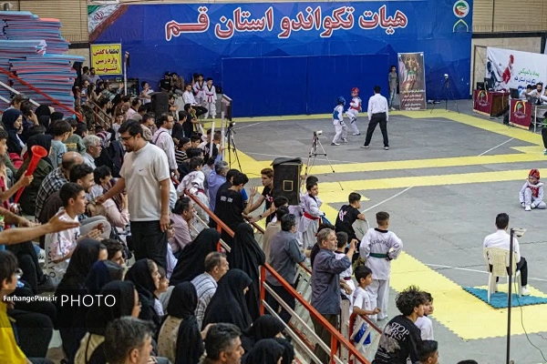 معرفی ۵۶ مدالآور خردسال تکواندو قم