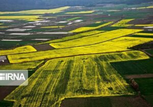 ۱۳۱ هکتار از اراضی ملی در قم خلع ید شد