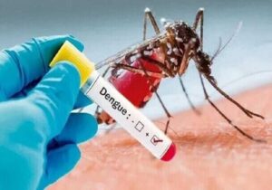 اقدامات پیشگیرانه شهرداری قم در مقابله با پشه آئدس