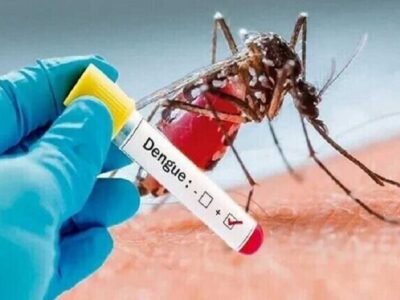 اقدامات پیشگیرانه شهرداری قم در مقابله با پشه آئدس
