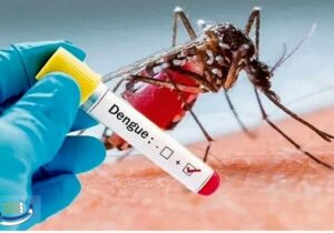 تب دنگی چیست؟