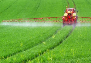 تغذیه گیاهی از طریق محلول پاشی در ۱۶ هزار و ۵۰۰ هکتار از مزارع قم انجام میشود