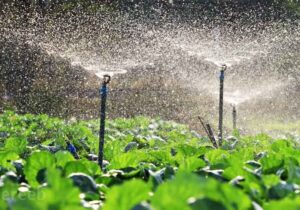 صرفهجویی ۴ میلیون مترمکعبی آب در کشاورزی قم