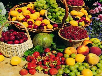 ۱۷ هزار تُن میوه در قم برداشت شد