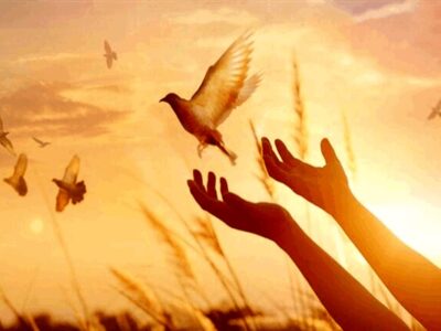 ۶۰ زندانی به مناسبت هفته بسیج در قم آزاد شدند