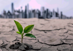 محیط زیست را نباید قربانی مسائل اقتصادی کنیم