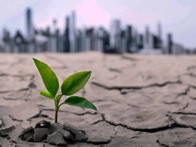 محیط زیست را نباید قربانی مسائل اقتصادی کنیم