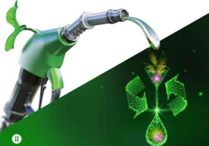 طرح «کهاب» از اولویتهای زیستمحیطی قم است