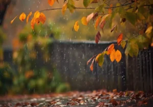 روند کاهش محسوس دما در قم آغاز شد