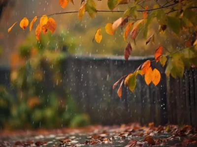 روند کاهش محسوس دما در قم آغاز شد