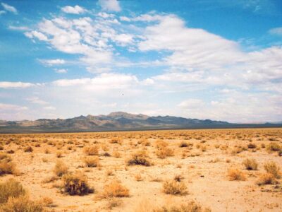 تشنگی؛ فریادی خشکیده در گلوی قم