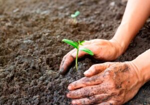 تغییر کاربری اراضی، چالشی برای کیفیت خاک