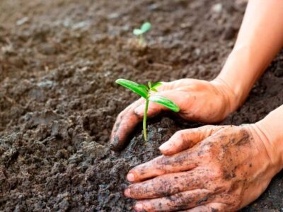 تغییر کاربری اراضی، چالشی برای کیفیت خاک