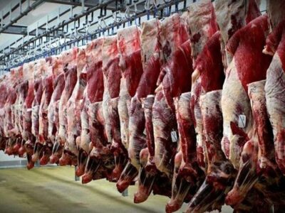 امسال نیازمندی به واردات گوشت قرمز کمتر شد
