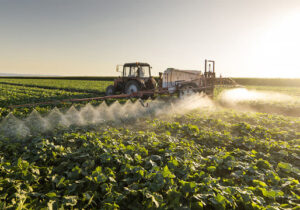 طرح جهاد میدانی برای جهش تولید محصولات کشاورزی در قم اجرا شد