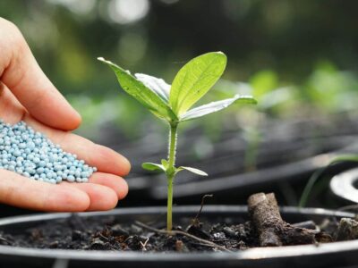 ۱۸ هزار تن کود یارانهای در قم توزیع شد