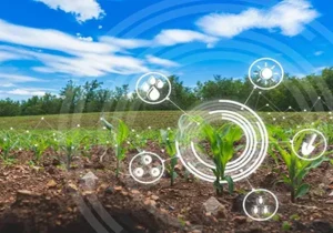 استفاده از فناوریهای نوین؛ کلید خودکفایی و امنیت غذایی
