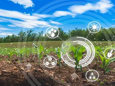 استفاده از فناوریهای نوین؛ کلید خودکفایی و امنیت غذایی