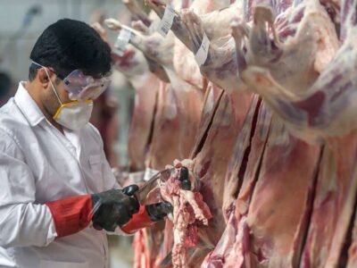 دامپزشکی قم آماده خدمترسانی در عید قربان