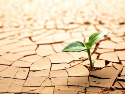 مشکلات مدیریت آب با کاهش بارشها در قم