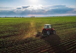 اشتغال پایدار در کشاورزی و دامداری در جعفریه قم