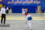 معرفی ۵۶ مدالآور خردسال تکواندو قم