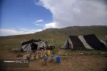 عشایر قم سالانه ۴ هزار و ۸۸۰ میلیارد ریال تولید اقتصادی دارند